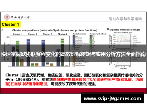快速掌握欧协联赛程变化的高效理解逻辑与实用分析方法全面指南